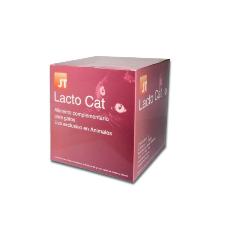 Lacto Cat gatitos