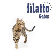 Piensos para gatos Filatto Gatos