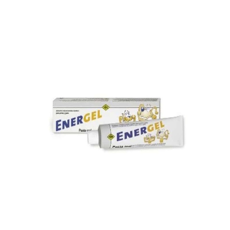 Energel Pasta Oral Multivitamínica