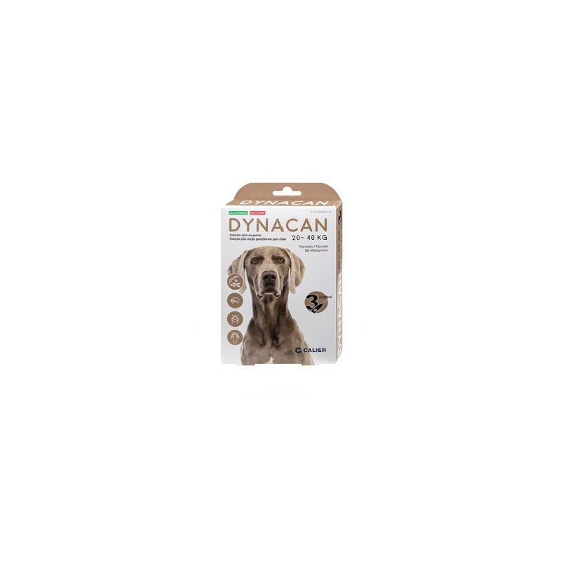 DYNACAN PIPETAS PARA PERROS DE 20-40 KG