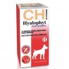 Hyalophyt Condroprotector Para Perros