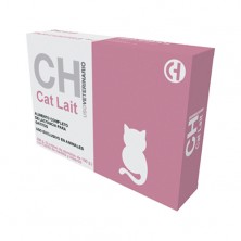 Cat Lait lactancia Gatos