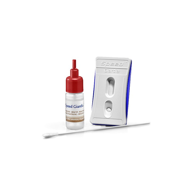 Speed Giardia Test Giardiasis