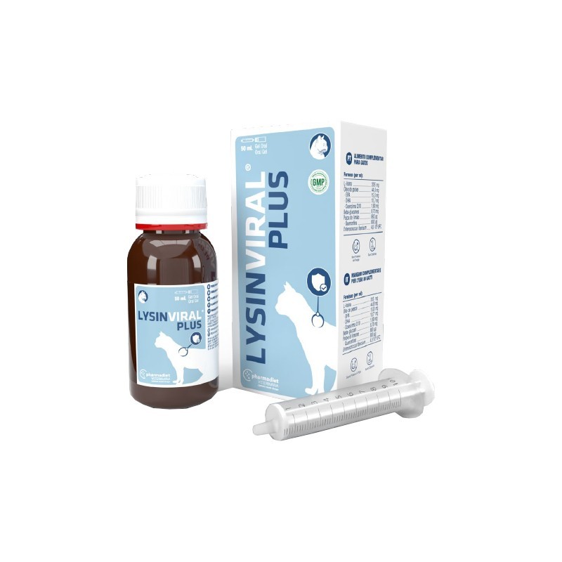 Lysinviral herpesvirus felino para gatos