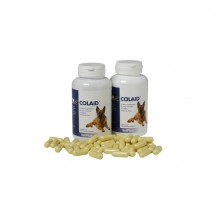 Colaid salud gastrointestinal para perros