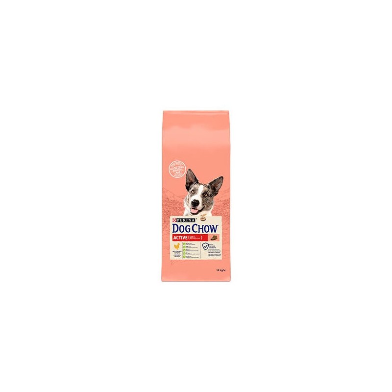 Purina Dog Chow Active Pollo