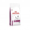 Pienso Royal Canin Veterinary Canine Renal Small Dog