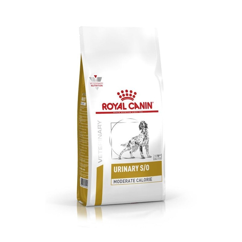 Royal Canin Canine Urinary SO Moderate Calorie Dry