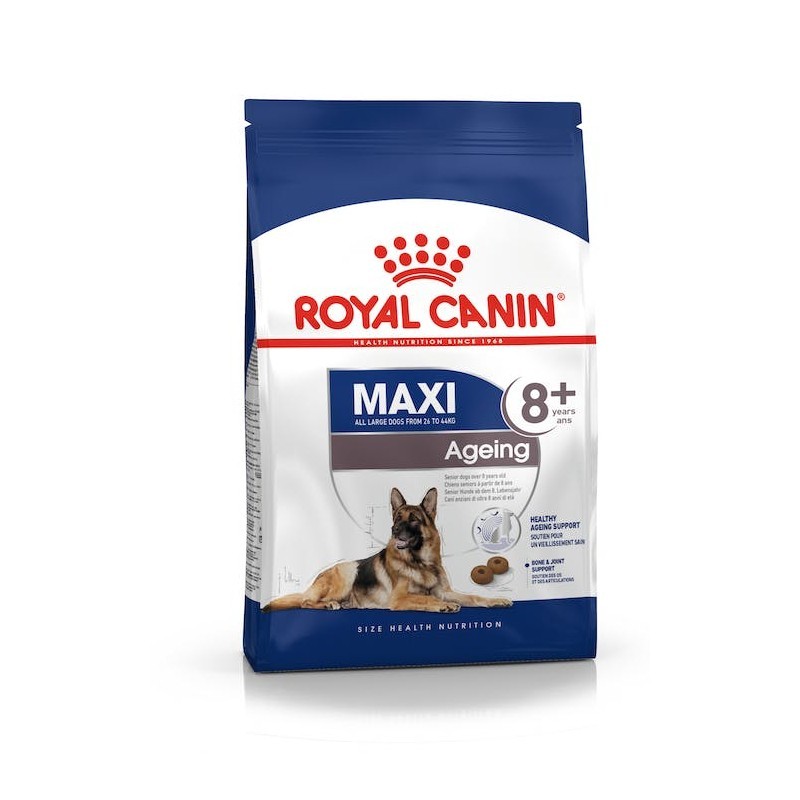 Pienso Royal Canin Maxi Ageing 8+ Perros grandes senior