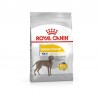Royal Canin Maxi Dermacomfort Perros grandes