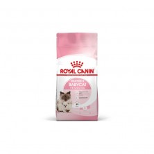 Royal Canin Kitten Mother And BabyCat