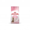 Royal Canin Kitten Sterilised para gatitos