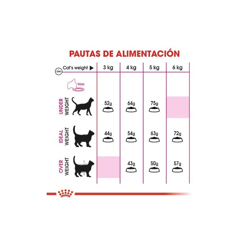 Royal Canin Aroma Exigent para Gatos