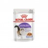 Royal Canin Sterilised Jelly Wet Comida húmeda para gatos