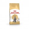 Royal Canin British Shorthair Adult
