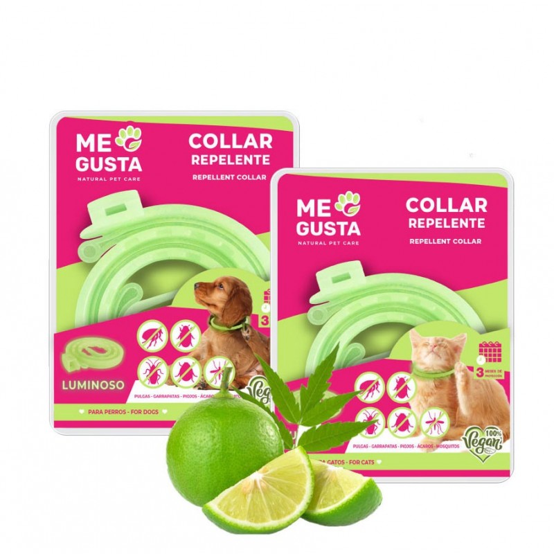 Collar Luminiscente Gatos Megusta