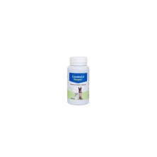 Condrocit Stanvet Condroprotector 60 comprimidos