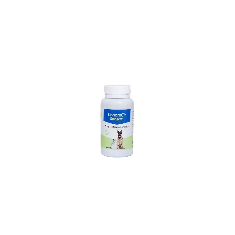 Condrocit Stanvet Condroprotector 60 comprimidos