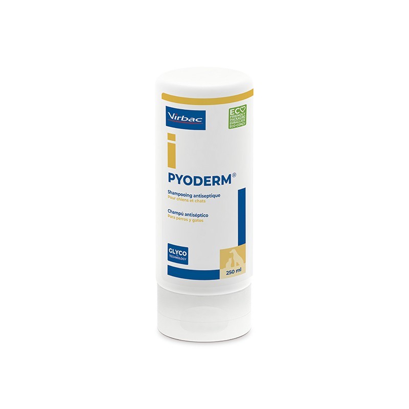 Champú Antiséptico Pyoderm