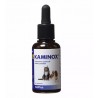 Kaminox®: prevención de la salud renal para gatos y perros