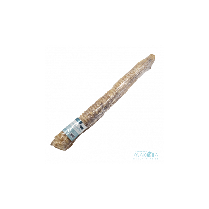 Traquea de Ternera Deshidratada 100% natural 30-35 Cm