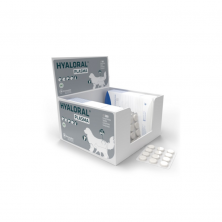 Hyaloral plasma comprimidos: movilidad articular diaria