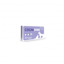 Cognidine neuroprotección para perros y gatos