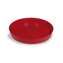 Bandeja Comedero Pollitos, Perdices y Codornices