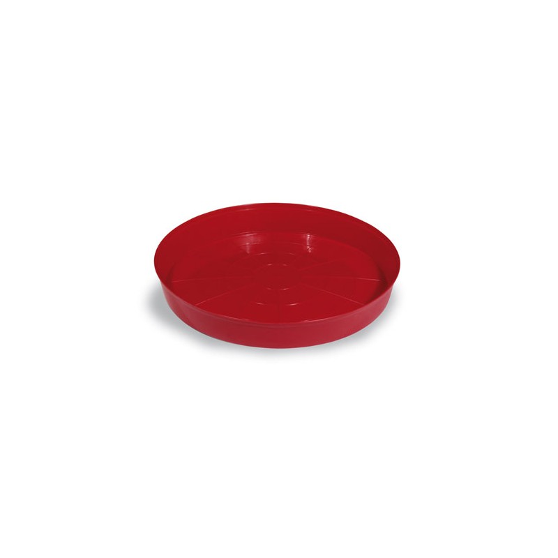 Bandeja Comedero Pollitos, Perdices y Codornices