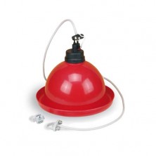 Bebedero de campana automático para aves