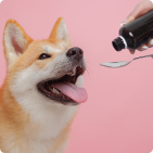 Suplementos nutricionales para perros