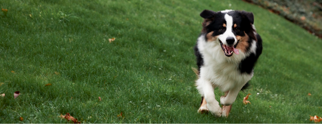 Farma Higiene marca la diferencia