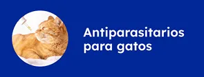 Antiparasitarios para gatos