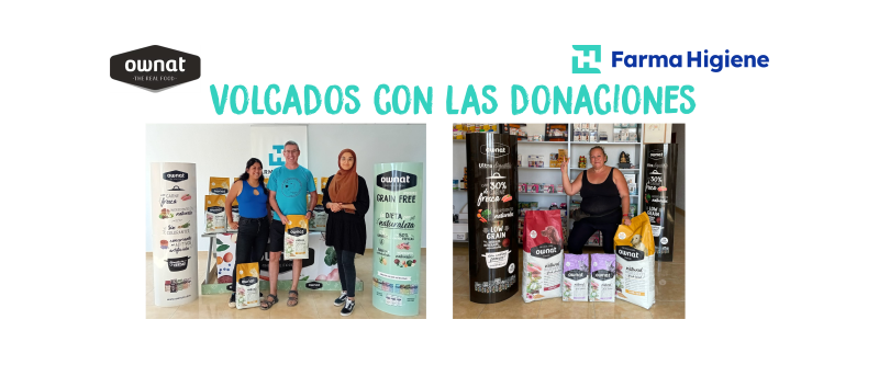 El Poder de la Generosidad: Donar a Protectoras para Rescatar a Mascotas Abandonadas