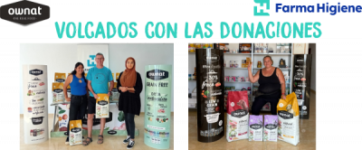 El Poder de la Generosidad: Donar a Protectoras para Rescatar a Mascotas Abandonadas