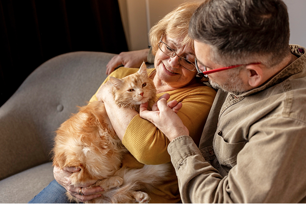 Moderación y control de calidad